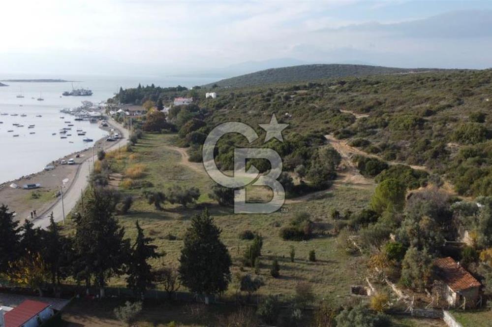 Seferihisar Sığacık da Denize Sıfır Günübirlik Turizm Tesis Alan