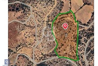 FENOMEN'DEN KULA YENİKÖY'DE SATILIK ARSA - 7 - 344840