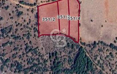 DENİZLİ BEKİLLİ YAHYALAR KÖYÜNDE FIRSAT 12200 M2 YATIRIMLIK TARLA