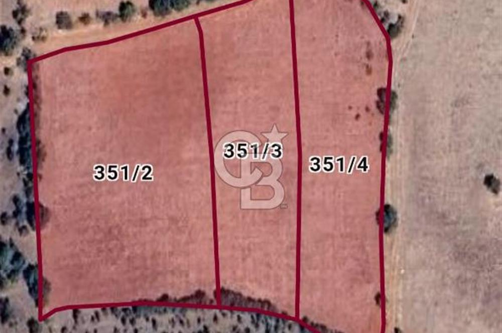 DENİZLİ BEKİLLİ YAHYALAR KÖYÜNDE FIRSAT 12200 M2 YATIRIMLIK TARLA