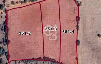 DENİZLİ BEKİLLİ YAHYALAR KÖYÜNDE FIRSAT 12200 M2 YATIRIMLIK TARLA