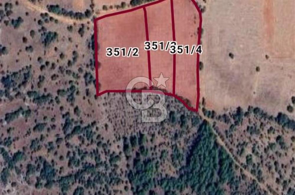 DENİZLİ BEKİLLİ YAHYALAR KÖYÜNDE FIRSAT 12200 M2 YATIRIMLIK TARLA