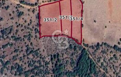 DENİZLİ BEKİLLİ YAHYALAR KÖYÜNDE FIRSAT 12200 M2 YATIRIMLIK TARLA