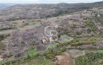 KOCAELİ KANDIRA ELMACIK KÖYÜ 4279 M2 OSBYE YAKIN SATILIK TARLA