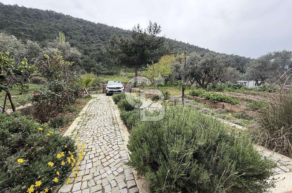 KEMALPAŞA DEREKÖY’DE SATILIK TRİPLEKS ÖZEL TASARIMLI VİLLA