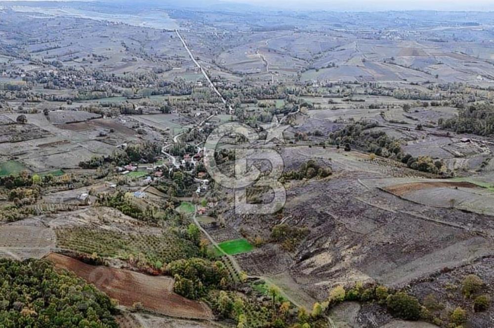 KOCAELİ KANDIRA ELMACIK KÖYÜ 4279 M2 OSBYE YAKIN SATILIK TARLA