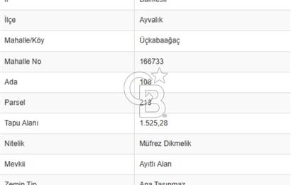 AYVALIK ALTINOVADA EMSALİN ALTINDA FIRSAT ZEYTİNLİK 1.525 m²