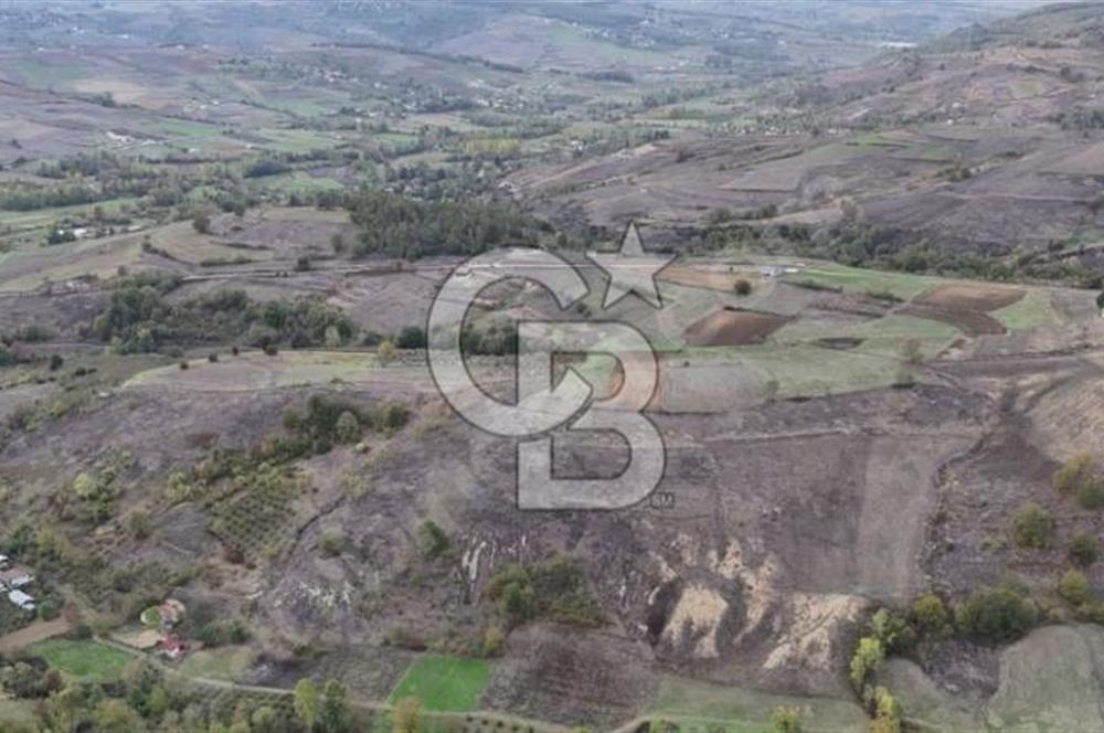 KOCAELİ KANDIRA ELMACIK KÖYÜ 4279 M2 OSBYE YAKIN SATILIK TARLA