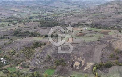 KOCAELİ KANDIRA ELMACIK KÖYÜ 4279 M2 OSBYE YAKIN SATILIK TARLA