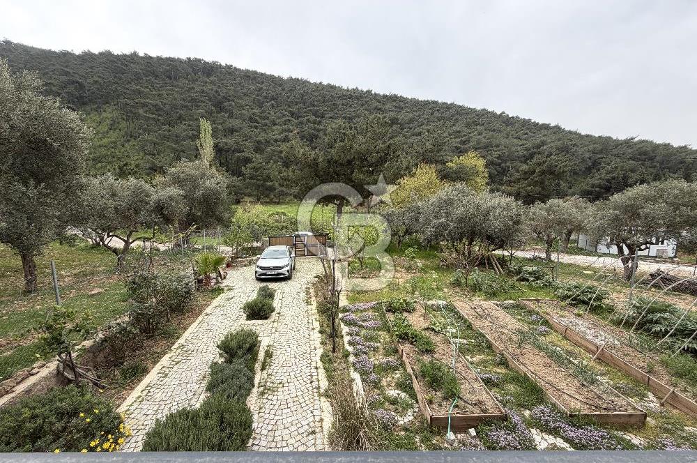 KEMALPAŞA DEREKÖY’DE SATILIK TRİPLEKS ÖZEL TASARIMLI VİLLA