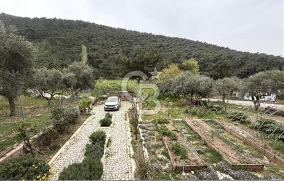 KEMALPAŞA DEREKÖY’DE SATILIK TRİPLEKS ÖZEL TASARIMLI VİLLA