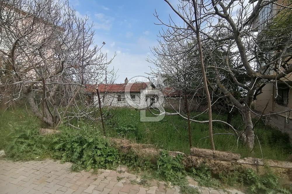 Tekirdağ Sultanköy'de 704 M2 Satılık Konut İmar Fırsat Arsa