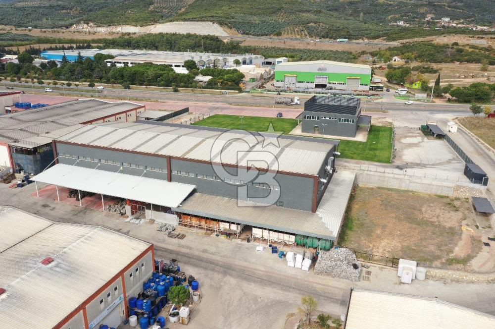 BURSA ORHANGAZİ MARZİM SATILIK FABRİKA DEPO!. 2440M2 ANA YOL
