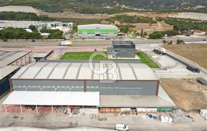 BURSA ORHANGAZİ MARZİM SATILIK FABRİKA DEPO!. 2440M2 ANA YOL