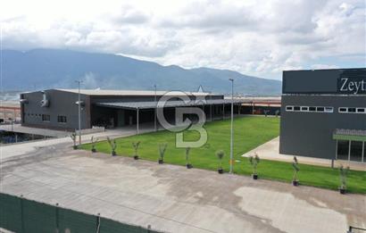 BURSA ORHANGAZİ MARZİM SATILIK FABRİKA DEPO!. 2440M2 ANA YOL