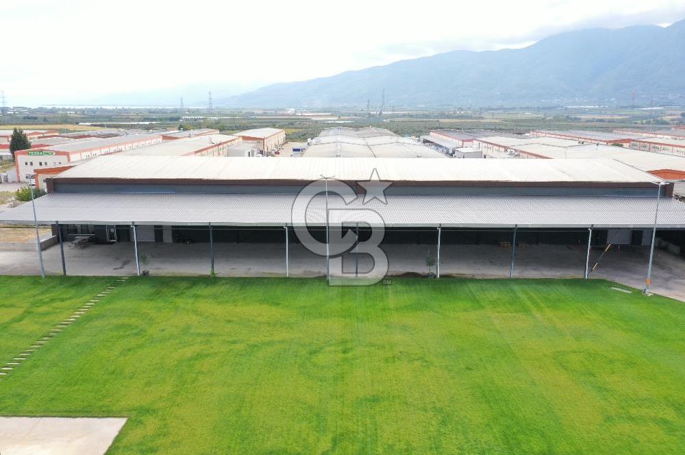 BURSA ORHANGAZİ MARZİM SATILIK FABRİKA DEPO!. 2440M2 ANA YOL
