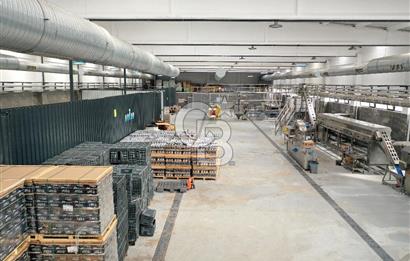 BURSA ORHANGAZİ MARZİM SATILIK FABRİKA DEPO!. 2440M2 ANA YOL