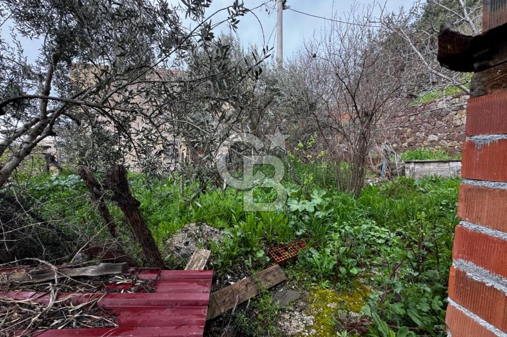 ÇANAKKALE AYVACIK KAYALAR KÖYÜNDE SATILIK KÖY EVİ VE ARSASI