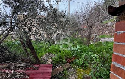 ÇANAKKALE AYVACIK KAYALAR KÖYÜNDE SATILIK KÖY EVİ VE ARSASI