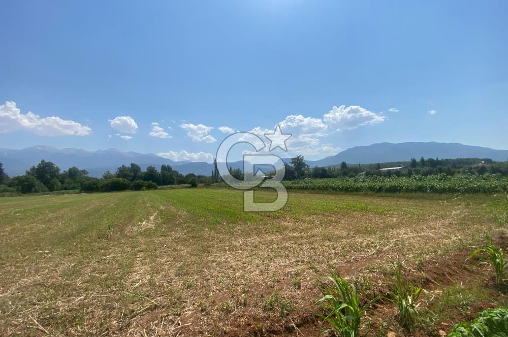 MUĞLA SEYDİKEMER KORUBÜKÜ KÖYÜ ÇAYÜSTÜ MEVKİ SATILIK TARLA