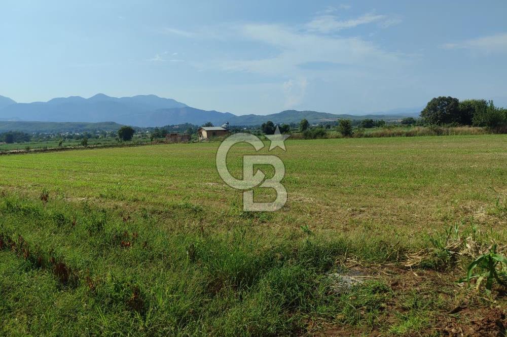 MUĞLA SEYDİKEMER KORUBÜKÜ KÖYÜ ÇAYÜSTÜ MEVKİ SATILIK TARLA