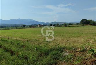 MUĞLA SEYDİKEMER KORUBÜKÜ KÖYÜ ÇAYÜSTÜ MEVKİ SATILIK TARLA - 1 - 344882