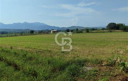 MUĞLA SEYDİKEMER KORUBÜKÜ KÖYÜ ÇAYÜSTÜ MEVKİ SATILIK TARLA