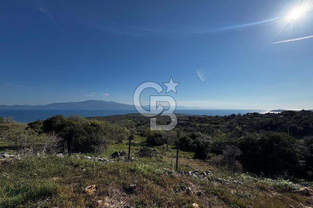 ÇANAKKALE AYVACIK BEKTAŞ KÖY DENİZ MANZ.EKOLOJİK TURİZME UYGUN