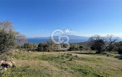 ÇANAKKALE AYVACIK BEKTAŞ KÖY DENİZ MANZ.EKOLOJİK TURİZME UYGUN