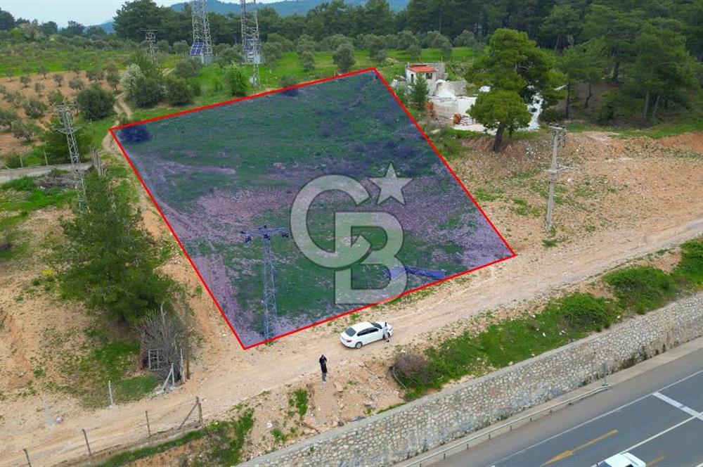 ANA YOL ÜZERİ 3.200 M2 TEK TAPU TİCARİ İMARLI SATILIK ARSA