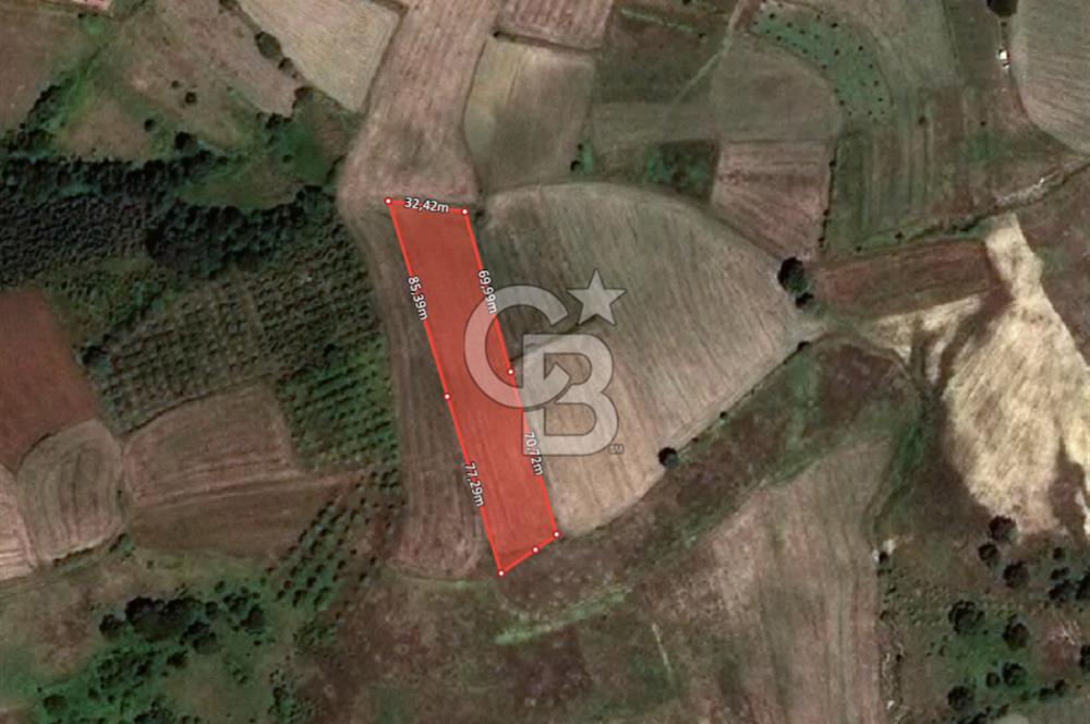 KOCAELİ KANDIRA ELMACIK KÖYÜ 4279 M2 OSBYE YAKIN SATILIK TARLA