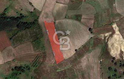 KOCAELİ KANDIRA ELMACIK KÖYÜ 4279 M2 OSBYE YAKIN SATILIK TARLA
