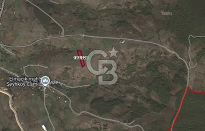 KOCAELİ KANDIRA ELMACIK KÖYÜ 4279 M2 OSBYE YAKIN SATILIK TARLA