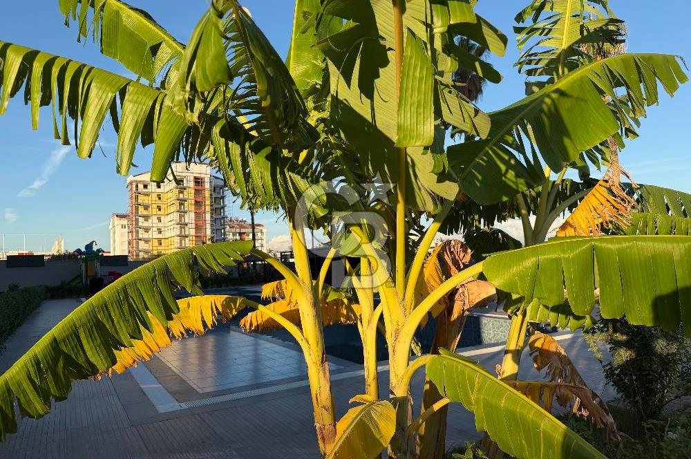 Aydemir Suitte Çift Klimalı Havuzlu ve Sosyal Donatılı Lüks 1+1