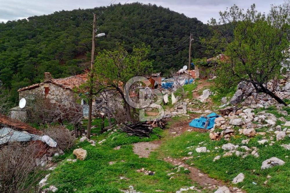 BURHANİYE SARILAR & DAMLALI MAHALLESİNDE KÖY İÇİ TAŞ EV VE ARSA