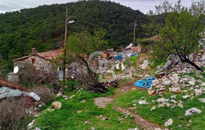 BURHANİYE SARILAR & DAMLALI MAHALLESİNDE KÖY İÇİ TAŞ EV VE ARSA