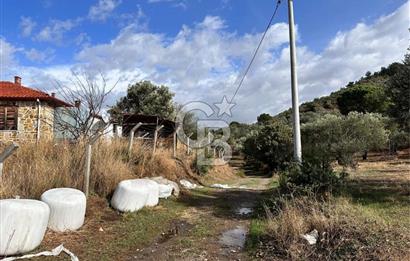 GÖMEÇ KUYUALAN KÖY İÇİNDE İMARLI 3.016 m² ZEYTİNLİK