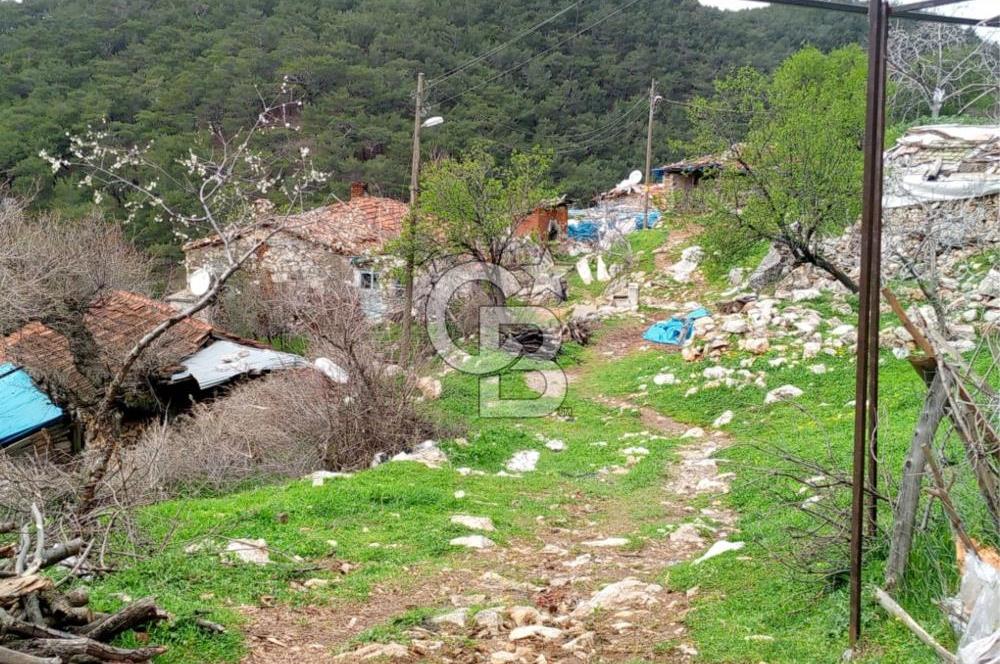 BURHANİYE SARILAR & DAMLALI MAHALLESİNDE KÖY İÇİ TAŞ EV VE ARSA