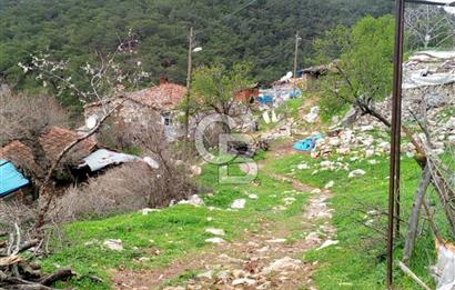 BURHANİYE SARILAR & DAMLALI MAHALLESİNDE KÖY İÇİ TAŞ EV VE ARSA
