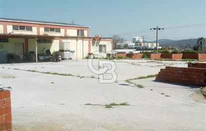 AYVALIKTA KİRALIK DEPO & FABRİKA BİNASI GENİŞ KULLANIM ALANI