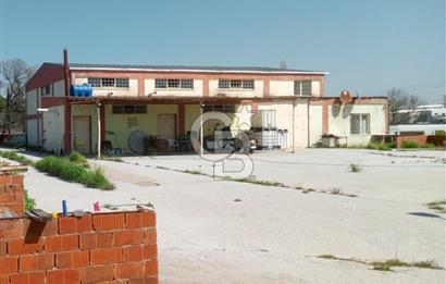 AYVALIKTA KİRALIK DEPO & FABRİKA BİNASI GENİŞ KULLANIM ALANI