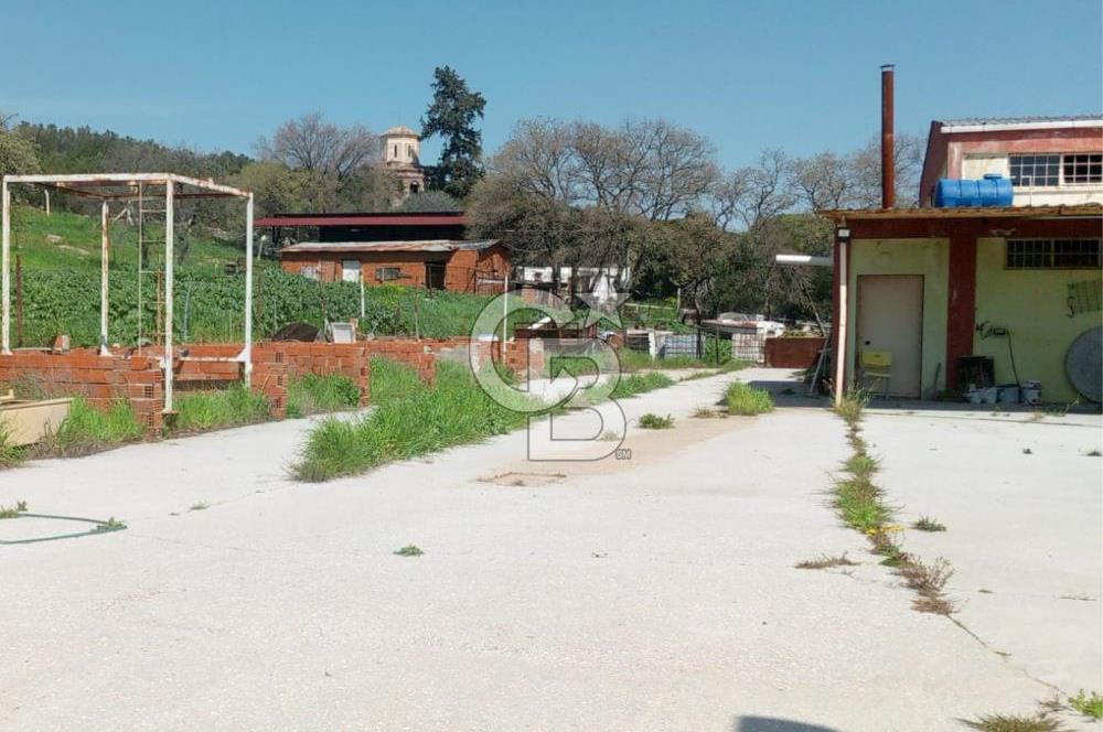 AYVALIKTA KİRALIK DEPO & FABRİKA BİNASI GENİŞ KULLANIM ALANI