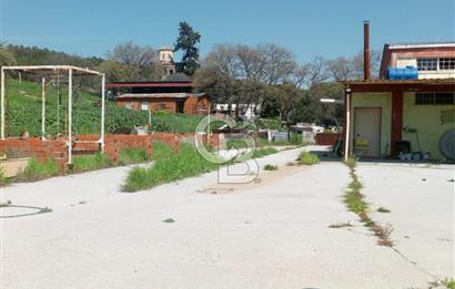 AYVALIKTA KİRALIK DEPO & FABRİKA BİNASI GENİŞ KULLANIM ALANI