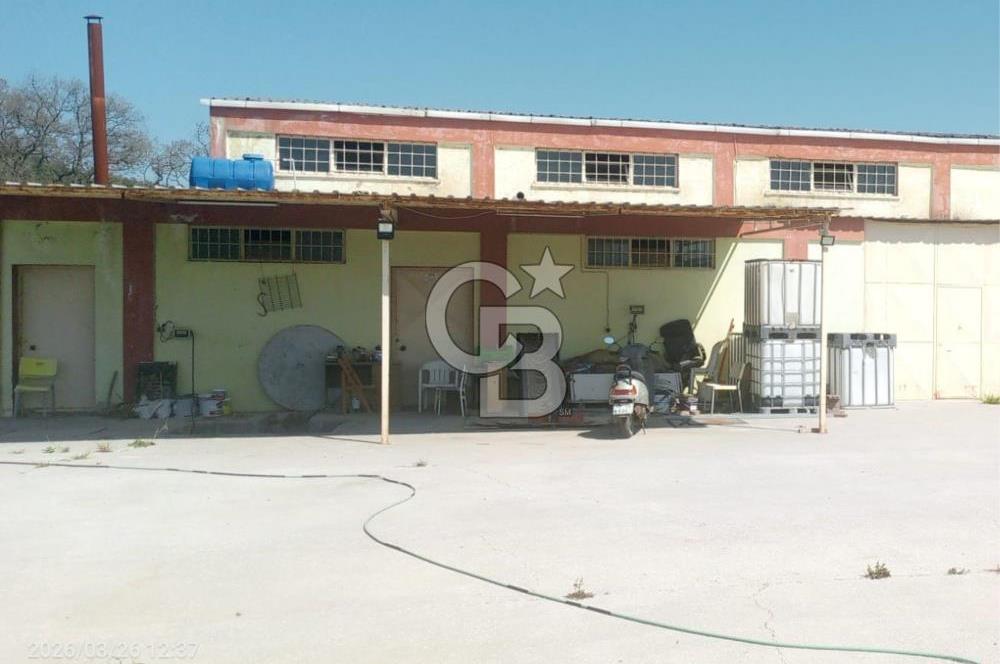 AYVALIKTA KİRALIK DEPO & FABRİKA BİNASI GENİŞ KULLANIM ALANI