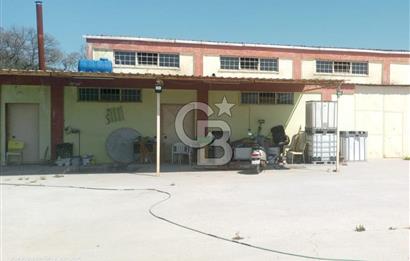 AYVALIKTA KİRALIK DEPO & FABRİKA BİNASI GENİŞ KULLANIM ALANI