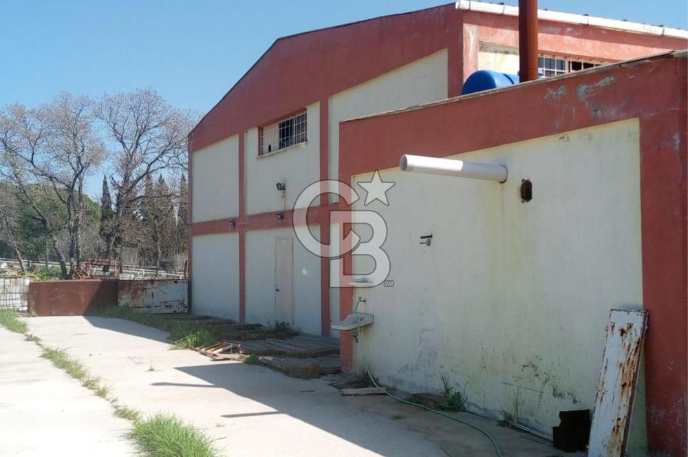 AYVALIKTA KİRALIK DEPO & FABRİKA BİNASI GENİŞ KULLANIM ALANI