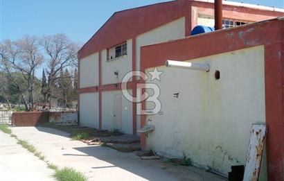 AYVALIKTA KİRALIK DEPO & FABRİKA BİNASI GENİŞ KULLANIM ALANI