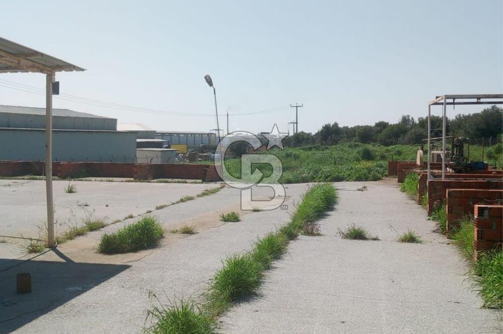 AYVALIKTA KİRALIK DEPO & FABRİKA BİNASI GENİŞ KULLANIM ALANI