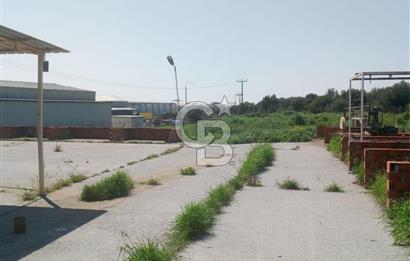 AYVALIKTA KİRALIK DEPO & FABRİKA BİNASI GENİŞ KULLANIM ALANI