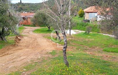 GÖMEÇ KUYUALAN KÖY İÇİNDE İMARLI 3.016 m² ZEYTİNLİK